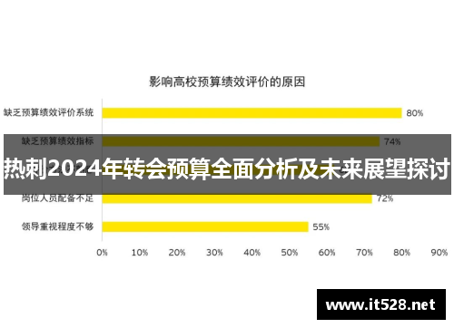 热刺2024年转会预算全面分析及未来展望探讨